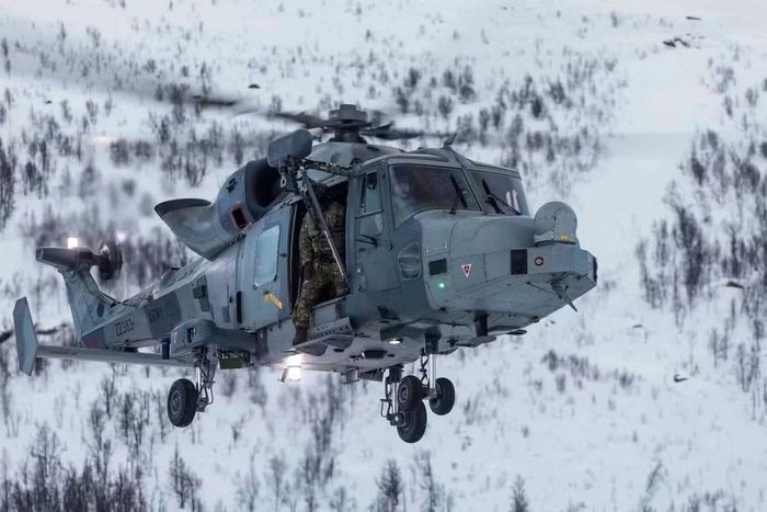 Sau khi những chiếc Wildcat AH1 ngừng hoạt động, Không quân Lục quân Anh sẽ chỉ còn trực thăng tấn công AH-64E Apache và một số lượng nhỏ trực thăng Dauphin AH1, dùng để hỗ trợ các lực lượng đặc nhiệm.