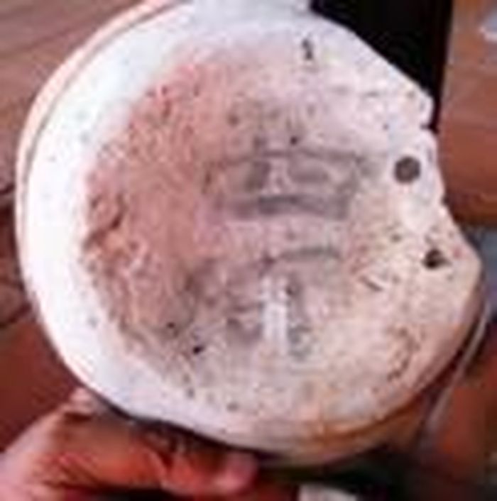 Chữ Ả Rập và chữ Hán còn lại ở đáy và trên vai chậu, vò sành phát hiện trong “Tàu Dây”
