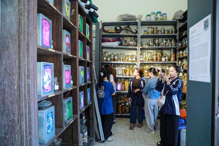 Triển lãm đa giác quan "120 năm Đại học Quốc gia Hà Nội - truyền thống giáo dục tinh hoa và khai phóng" thu hút rất đông khách tham quan, đặc biệt là các bạn trẻ. Ảnh: TTXVN