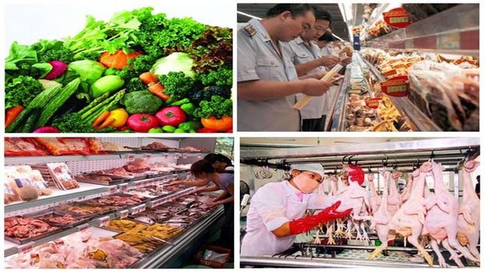 Ngộ độc thực phẩm chủ yếu do 3 nguyên nhân: hóa chất, vi sinh vật và độc tố tự nhiên.