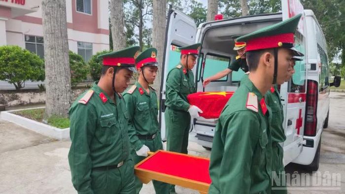 Vận chuyển mẫu lên xe chuyên dụng.