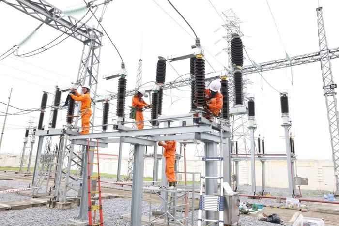Đảng bộ lãnh đạo toàn diện hoạt động của Tổng công ty, trực tiếp thực hiện nhiệm vụ bảo đảm cung ứng điện an toàn, ổn định cho hơn 11 triệu khách hàng trên địa bàn 17 tỉnh, thành phố miền bắc.