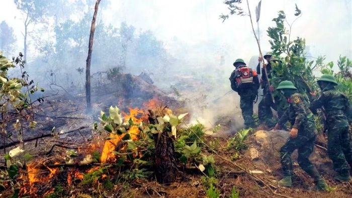 Từ đầu năm đến ngày 28/6/2026, trên địa bàn toàn tỉnh Nghệ An đã xảy ra 16 vụ cháy rừng, gây thiệt hại hơn 17ha rừng. Nghiêm trọng nhất là vụ cháy nghiêm trọng tại xã Thiên Nhẫn và xã Vạn An.
