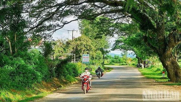 Hiện trạng Quốc lộ 40 đoạn Km187+800 Km204+500 có mặt đường hẹp, bán kính cong nhỏ, tiềm ẩn nguy cơ mất an toàn giao thông.