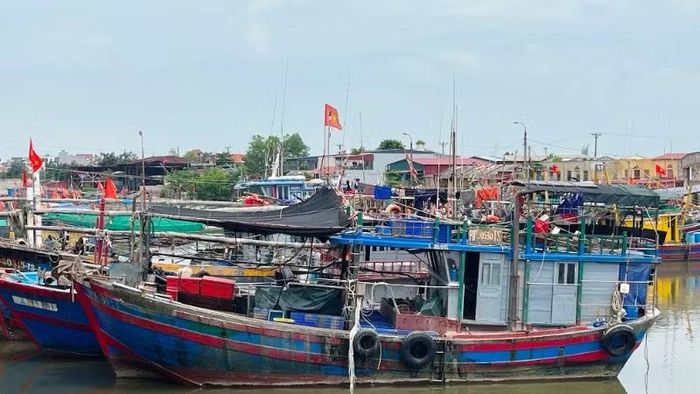 Ảnh minh họa: Tàu cá ở phường Đồ Sơn (Hải Phòng) neo đậu tại cảng.