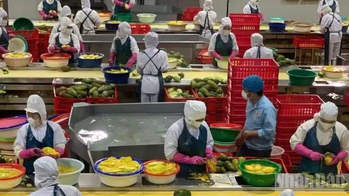 Sáu tháng đầu năm 2026, sản xuất nông nghiệp tiếp tục duy trì đà tăng trưởng ổn định.