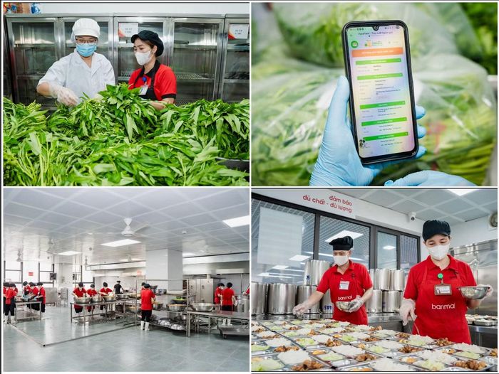 Quy trình kiểm tra nguyên liệu, sơ chế và chế biến thực phẩm tại hệ thống bếp ăn của Ban Mai.