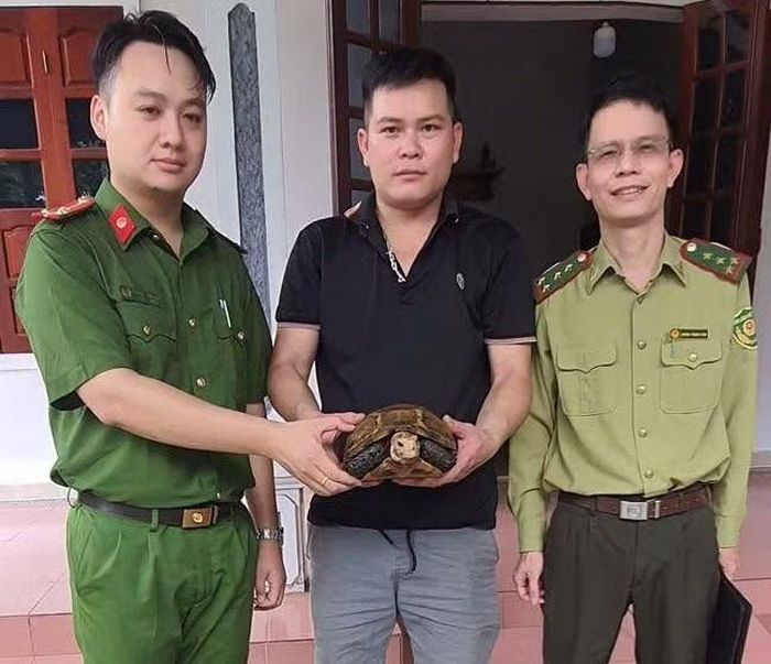 Cá thể rùa núi vàng được người dân bàn giao cho Kiểm lâm, Công an xã. (Ảnh: Sầm Thanh).