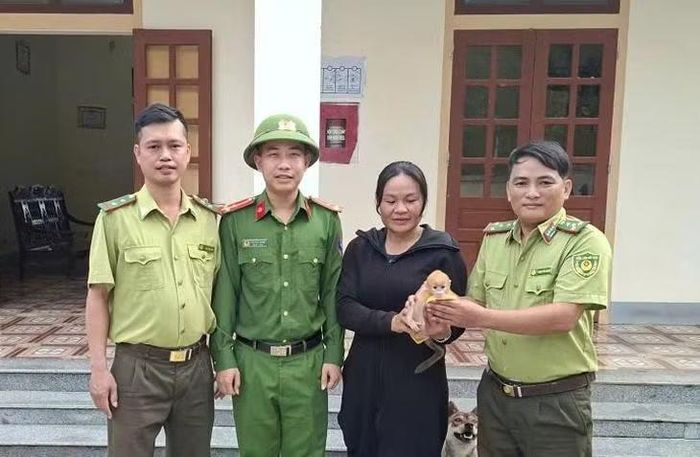 Cá thể voọc con được chị Trình phát hiện trong vườn nhà và bàn giao cho lực lượng kiểm lâm, công an địa bàn.
