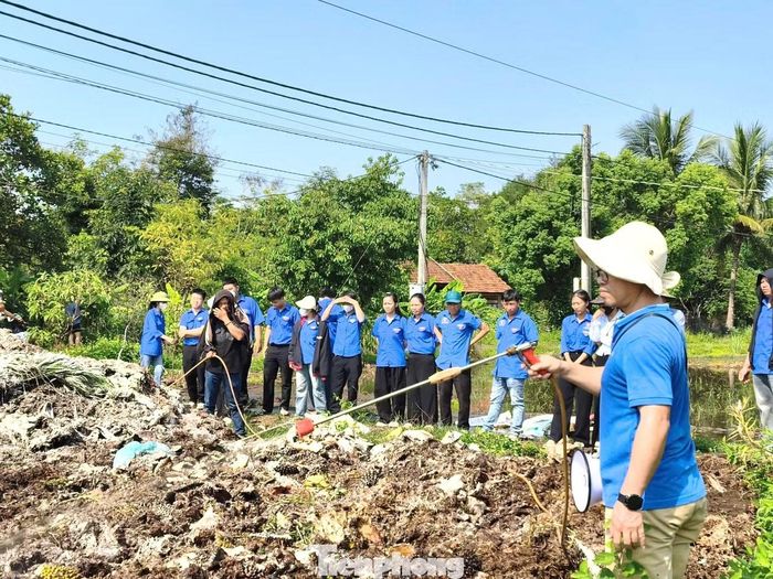 Tại đây, cán bộ kỹ thuật trực tiếp hướng dẫn các bước lựa chọn nguyên liệu, phối trộn phụ phẩm nông nghiệp với chế phẩm vi sinh, kỹ thuật tạo đống ủ, kiểm soát độ ẩm và nhiệt độ trong quá trình ủ nhằm bảo đảm chất lượng phân bón hữu cơ sau khi hoàn thành.