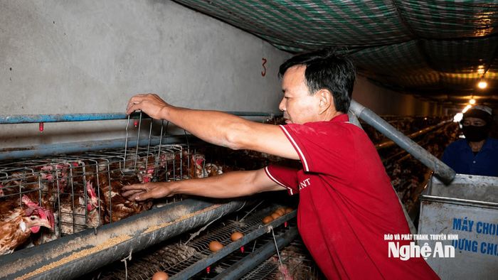 Người dân thi đua phát triển kinh tế gia đình. Ảnh: PV