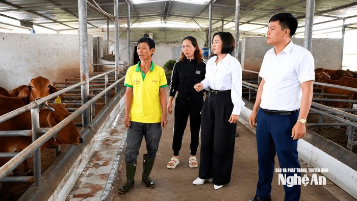 Cán bộ xã Hoa Quân thăm mô hình chăn nuôi đại gia súc. Ảnh: PV