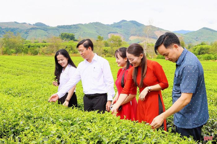  Ông Phan Kỳ - Bí thư Đảng ủy, Chủ tịch HĐND xã Hương Đô (thứ hai từ trái qua) chia sẻ: "Thời gian tới, địa phương sẽ tập trung phát triển vùng chè theo 3 hướng: sản xuất bền vững theo tiêu chuẩn hữu cơ, VietGAP; phát triển các loại hình du lịch tham quan, trải nghiệm; thu hút đầu tư vào lĩnh vực thương mại, dịch vụ. Chúng tôi kỳ vọng đồi chè Hương Đô sẽ trở thành điểm đến hấp dẫn, kết nối với các tour, tuyến tham quan tại khu vực miền núi phía tây Hà Tĩnh". 