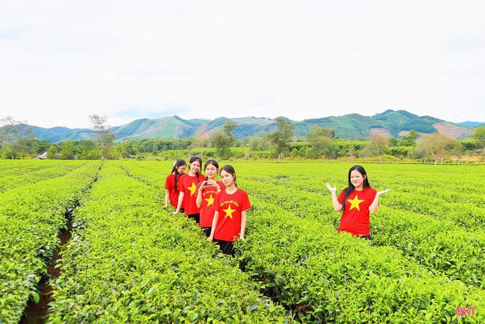 Những em nhỏ trong trang phục áo cờ đỏ sao vàng nổi bật giữa các luống chè xanh.