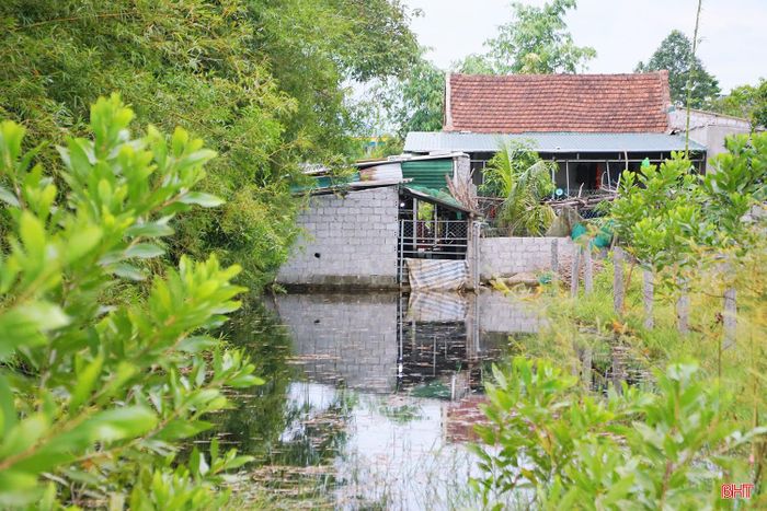 Ông Hiền chỉ về nguồn nước đổ vào khu dân cư xuất phát từ hệ thống cống tiêu thoát lũ gần nhà.