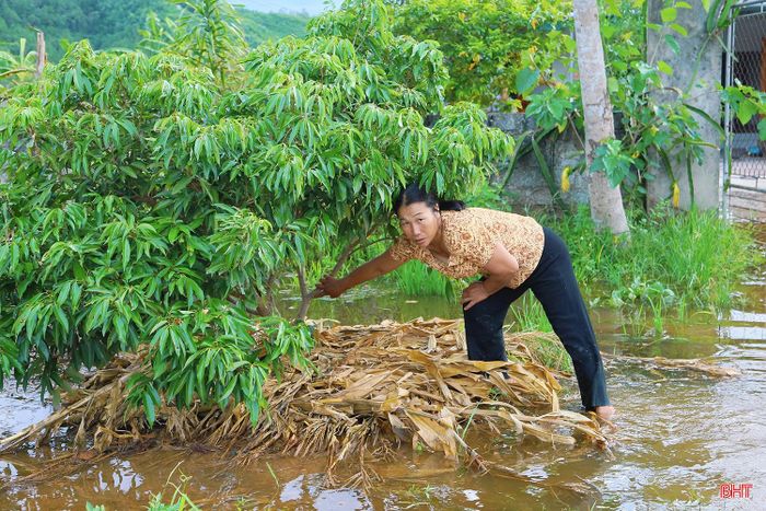 Người dân xã Trường Lưu mong muốn các cơ quan chức năng sớm xử lý để ổn định đời sống.
