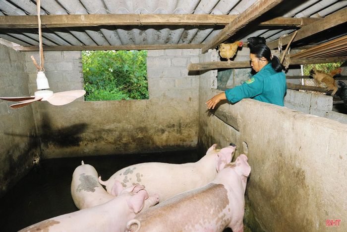 Bà Nguyễn Thị Thủy chia sẻ về nhiều bất tiện khi nước kênh Ngàn Trươi gây ngập úng cho gia đình.