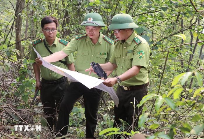 Lực lượng Kiểm lâm tuần tra, kiểm soát rừng tại Khu Bảo tồn Thiên nhiên đất ngập nước Vân Long, tỉnh Ninh Bình. (Ảnh: Thùy Dung/TTXVN)