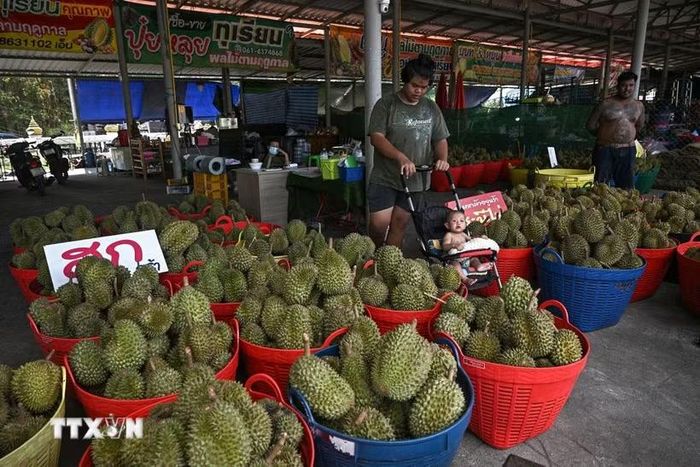 Sầu riêng được bày bán tại tỉnh Chanthaburi. (Ảnh: AFP/TTXVN)