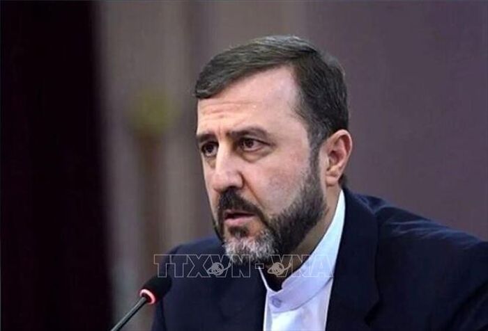Thứ trưởng Ngoại giao Iran Kazem Gharibabadi. Ảnh: IRNA/TTXVN