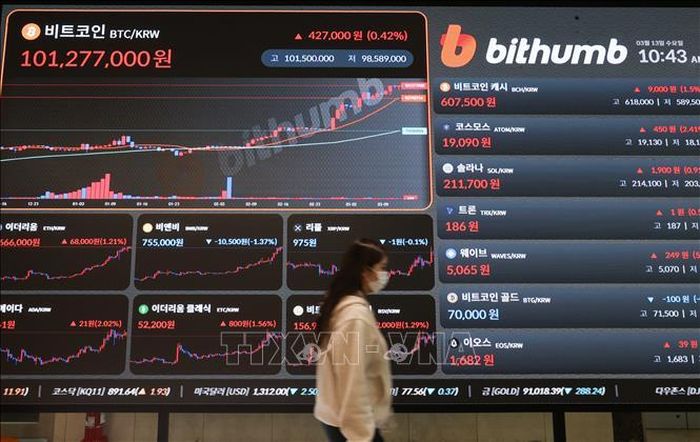Đồng Bitcoin trong phiên giao dịch tiền số tại Seoul, Hàn Quốc ngày 13/3/2024. Ảnh: YONHAP/TTXVN