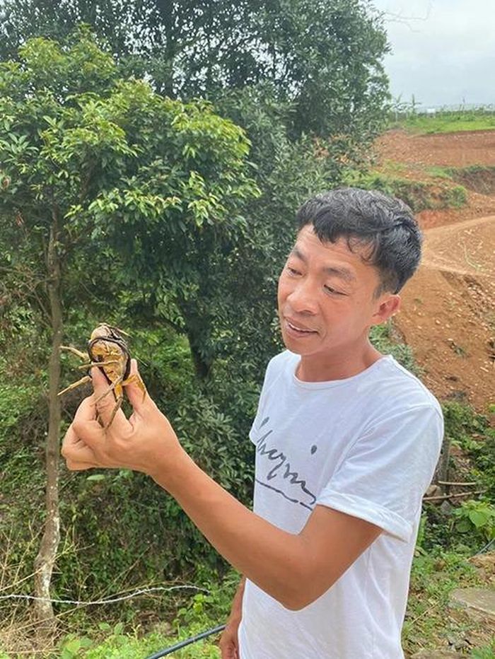 Nam NSƯT hài lòng với cuộc sống một mình trên đồi.