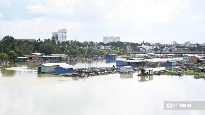 Phó Chủ tịch UBND phường Trấn Biên Phạm Đức Hoàng cho biết, một số hộ dân đã đồng thuận với chủ trương di dời, trong khi một số khác mong muốn được hỗ trợ thêm để ổn định cuộc sống sau khi chuyển đổi. Bên cạnh đó, vẫn còn một số ít hộ có nguyện vọng tiếp tục duy trì hoạt động nuôi cá lồng, bè. Theo ông Hoàng, địa phương kiến nghị thành phố sớm ban hành phương án quản lý hoạt động nuôi cá lồng, bè phù hợp với định hướng phát triển đô thị. Đồng thời, đề xuất nghiên cứu các chính sách hỗ trợ để người dân chuyển đổi sinh kế, ổn định đời sống trong quá trình thực hiện chủ trương.