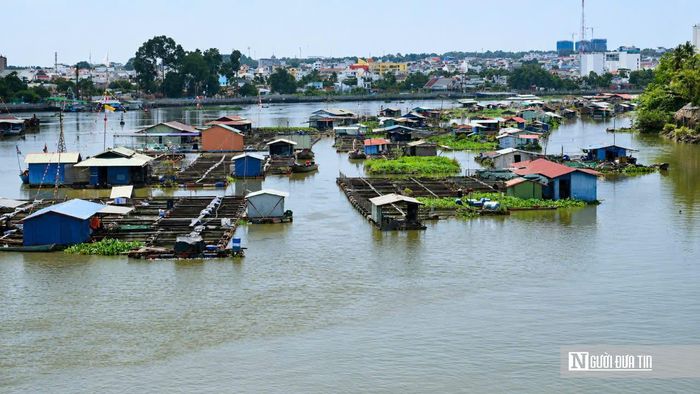 Trong khi đó, anh Lê Văn Thuyết, ngụ phường Trấn Biên, bày tỏ sự đồng tình với chủ trương của thành phố. Theo anh, việc sớm di dời các lồng bè ra khỏi khu vực trung tâm sẽ góp phần cải thiện cảnh quan, bảo vệ môi trường và tạo điều kiện triển khai các dự án hạ tầng, chỉnh trang ven sông Cái và cù lao Hiệp Hòa. Anh cũng mong chính quyền sớm công bố kế hoạch cụ thể để người dân chủ động sắp xếp sản xuất và ổn định cuộc sống.