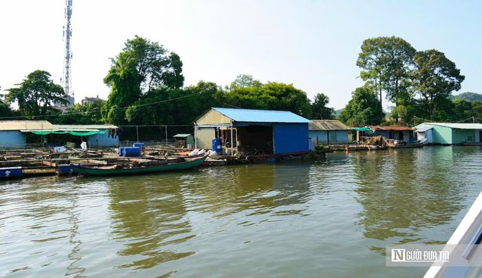 Là những hộ dân gắn bó nhiều năm với nghề nuôi cá lồng bè, nhiều người cho biết họ hiểu và đồng tình với chủ trương bảo vệ môi trường, nhưng cũng mong chính quyền có lộ trình phù hợp để người dân ổn định cuộc sống. "Chúng tôi biết việc nuôi cá trên sông không thể kéo dài mãi khi đô thị phát triển. Tuy nhiên, đây là nguồn thu nhập chính của cả gia đình nên mong được thông báo sớm về thời gian giải tỏa, có chính sách hỗ trợ chuyển đổi nghề hoặc bố trí khu vực nuôi phù hợp nếu có", một hộ nuôi cá tại phường Trấn Biên chia sẻ.