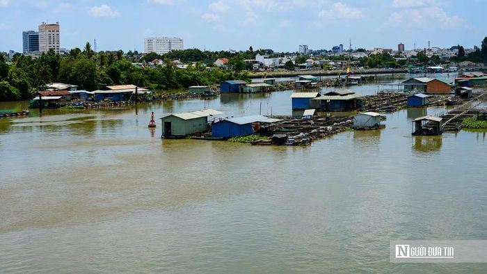 Khu vực các hộ nuôi cá bè trên sông Cái gần cầu Thống Nhất. Trước đây, việc xây dựng cầu này bị ảnh hưởng tiến độ do chậm di dời các lồng, bè của các hộ dân nuôi cá.