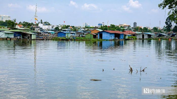 Theo báo cáo của UBND phường Trấn Biên, khu vực sông Cái hiện có 195 hộ với 517 nhân khẩu sinh sống trực tiếp trên 468 bè, với khoảng 1.400 lồng bè nuôi cá.
