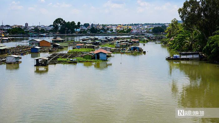 Việc giải tỏa hàng nghìn lồng bè chắc chắn sẽ tác động đến sinh kế của nhiều hộ dân, đòi hỏi các cấp chính quyền phải xây dựng phương án hỗ trợ phù hợp, bảo đảm quá trình chuyển đổi diễn ra hài hòa giữa lợi ích của người dân và mục tiêu phát triển bền vững. Tuy nhiên, trong bối cảnh môi trường sông Đồng Nai đang chịu nhiều sức ép, việc đưa hoạt động nuôi thủy sản tự phát vào quy hoạch, từng bước trả lại dòng chảy thông thoáng và nguồn nước sạch được xem là yêu cầu không thể trì hoãn, hướng tới xây dựng một đô thị xanh, hiện đại và phát triển lâu dài.