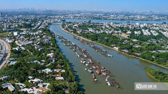 Trong nhiều năm qua, hoạt động nuôi cá lồng bè trên sông Đồng Nai đoạn qua hai phường Trấn Biên và Long Hưng đã trở thành sinh kế của hàng trăm hộ dân. Tuy nhiên, cùng với quá trình phát triển đô thị, hình thức nuôi thủy sản tự phát này đang bộc lộ nhiều bất cập về môi trường, nguồn nước, giao thông đường thủy và quy hoạch đô thị. Trước thực trạng đó, chính quyền thành phố Đồng Nai đang triển khai kế hoạch tổng rà soát, hoàn thiện cơ sở pháp lý để tiến tới giải tỏa toàn bộ khu vực nuôi cá lồng bè trong quý III/2026.
