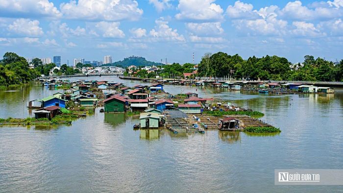 Như vậy, toàn khu vực hiện có 282 hộ dân đang sinh sống và hoạt động nuôi thủy sản trên sông. Đây đều là các điểm nuôi hình thành tự phát từ nhiều năm trước, phát triển dần theo nhu cầu mưu sinh của người dân mà chưa phù hợp với quy hoạch phát triển đô thị cũng như các quy định pháp luật hiện hành.