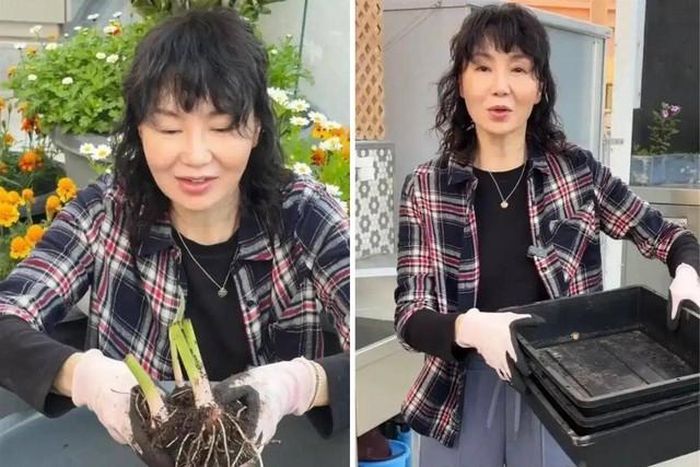 Trương Mạn Ngọc vui vẻ với việc làm vườn. Ảnh: Xinhua.