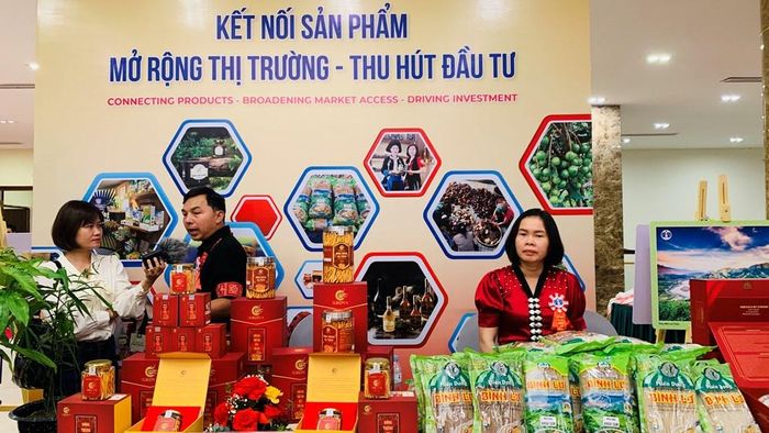 Các sản phẩm được công nhận OCOP được giới thiệu tới người tiêu dùng tại Hà Nội. Ảnh: Hằng Trần/BNnews/Vnanet.vn