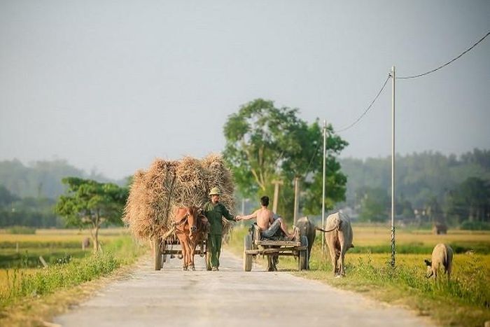 Người Nghệ An vừa cần cù chịu khó, vừa giàu tinh thần hiếu học.