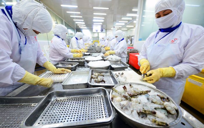 Tôm tiếp tục là ngành hàng thủy sản xuất khẩu chủ lực. Ảnh: Hoàng Anh.