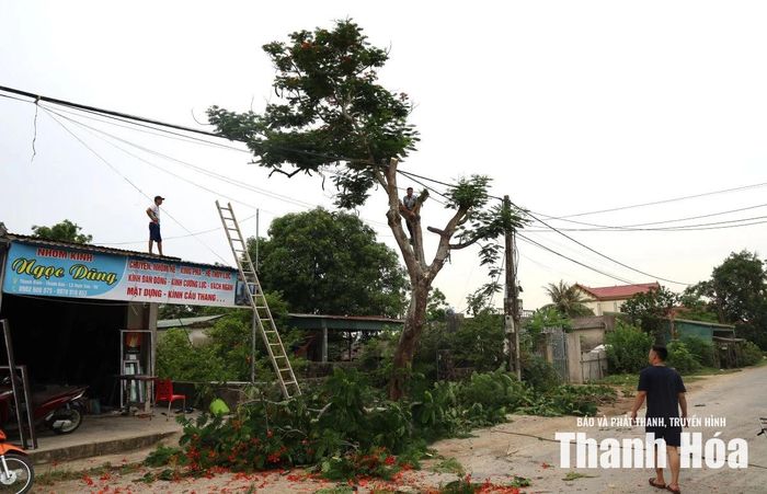 Người dân chủ động chặt cây, dọn dẹp hành lang tuyến để triển khai dự án.