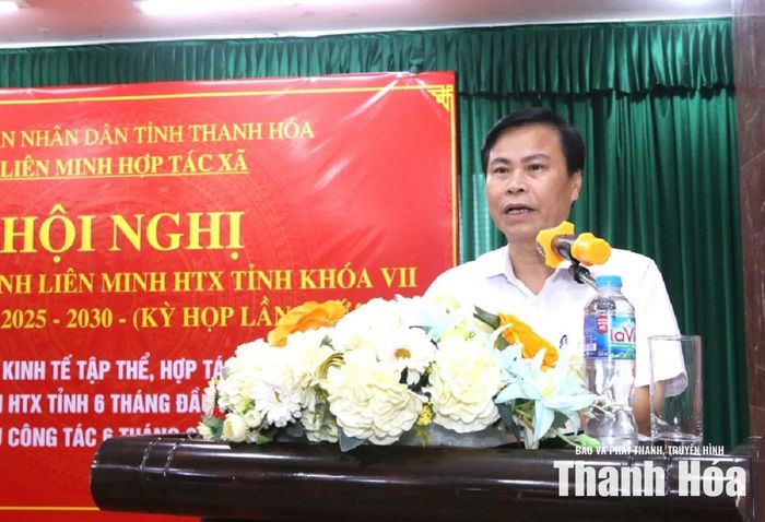 Chủ tịch Liên minh Hợp tác xã tỉnh Nguyễn Đình Tuấn phát biểu tại hội nghị.