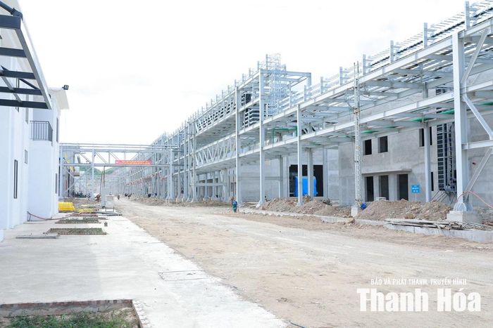 Dự án Nhà máy hóa chất Đức Giang.