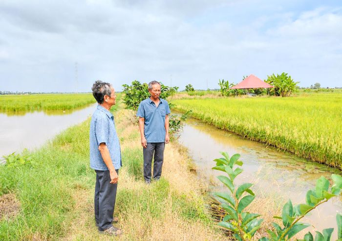 Ông Trần Văn Đồng (bên trái) chia sẻ kinh nghiệm sản xuất, đồng hành cùng người dân địa phương phát triển kinh tế gia đình. Ảnh: PHẠM HIẾU