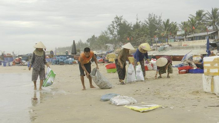 Người dân thôn Hà Lộc, xã Tam Xuân thường xuyên thu gom rác trên bãi biển để bảo vệ môi trường. Ảnh: HOÀNG HIỆP