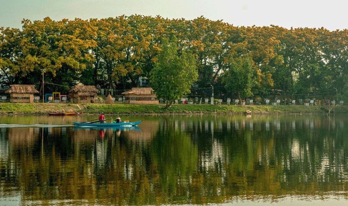 Qua những rặng sưa. Ảnh Nguyễn Điện Ngọc