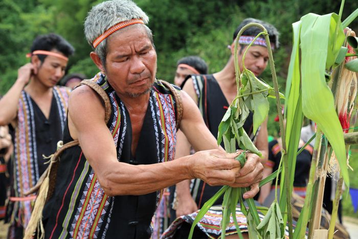 Tại khu vực cúng thần, già làng tiến hành buộc lá lách, hàm ý báo cáo với Thần Núi. Ảnh: ALĂNG NGƯỚC