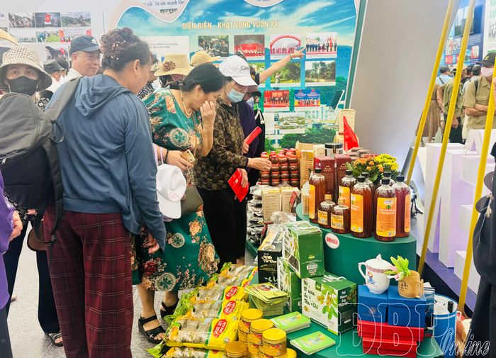 Nhiều nông đặc sản của các HTX Điện Biên được quảng bá, tiêu thụ tại thị trường Hà Nội.
