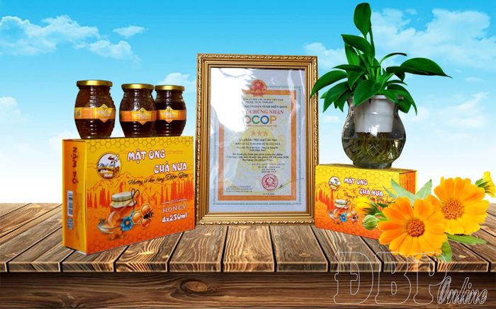 Mật ong Chà Nưa được công nhận sản phẩm OCOP xếp hạng 3 sao.
