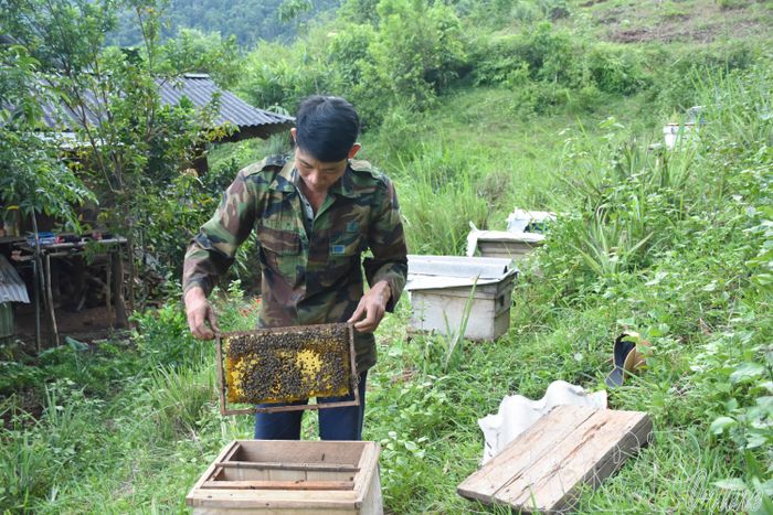 Người dân xã Mường Chà tăng thu nhập nhờ nghề nuôi ong rừng.