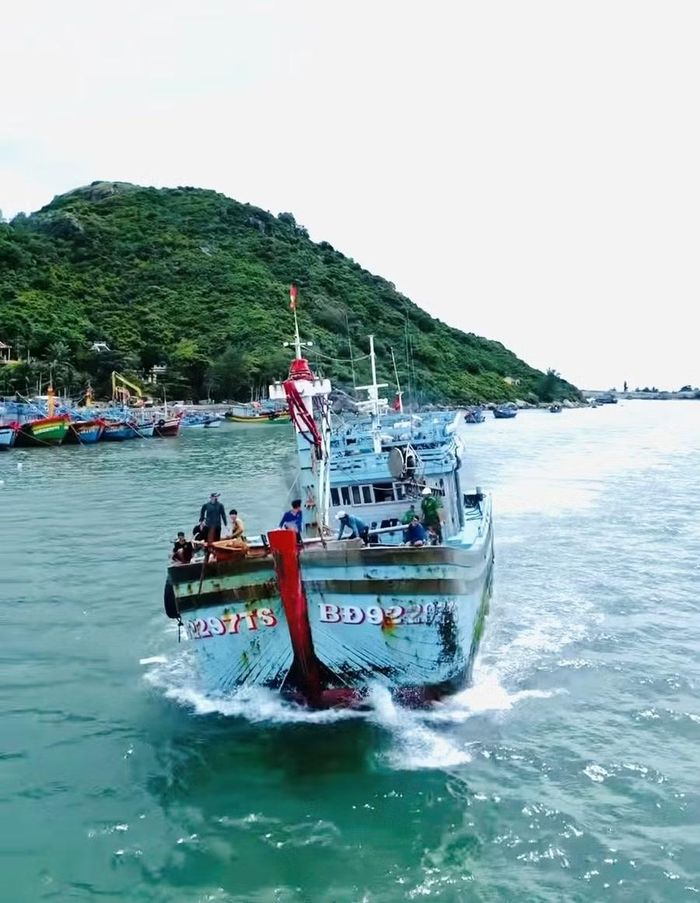 Sở Nông nghiệp và Môi trường yêu cầu các chủ tàu, thuyền trưởng và ngư dân phải thường xuyên cập nhật thông tin dự báo. Ảnh: Phan Tuấn