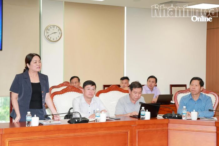 Lãnh đạo Hội Liên hiệp Phụ nữ tỉnh phát biểu tại cuộc họp.
